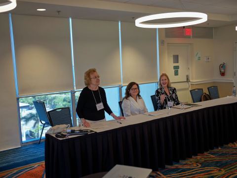 Mailer Ascending, Sarasota, October 2017, photo 15 of 120