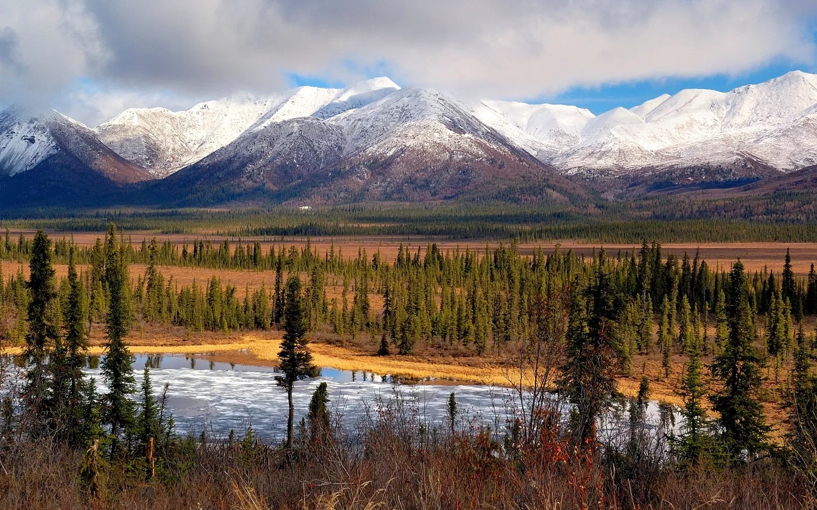 Featured image for Trump, Greenland, and Mailer